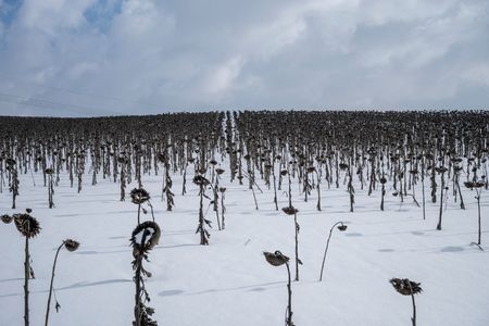 tagreuters.com2023binary_LYNXMPEJ1F0MV-VIEWIMAGE