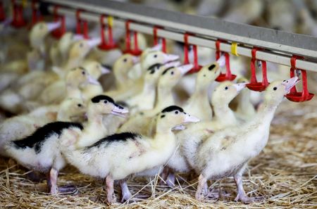 tagreuters.com2023binary_LYNXMPEJ1G0AZ-VIEWIMAGE