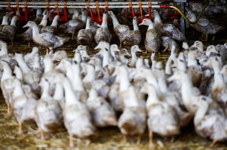 tagreuters.com2023binary_LYNXMPEJ1G0B3-VIEWIMAGE