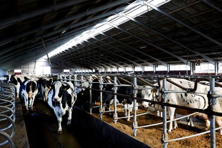 tagreuters.com2023binary_LYNXMPEJ2E0VO-VIEWIMAGE