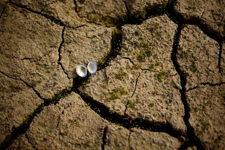 tagreuters.com2023binary_LYNXMPEJ2G0DG-VIEWIMAGE