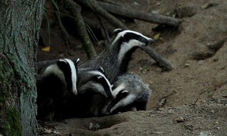 tagreuters.com2023binary_LYNXMPEJ2L0S8-VIEWIMAGE