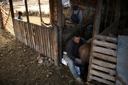 tagreuters.com2023binary_LYNXMPEJ2U08X-VIEWIMAGE