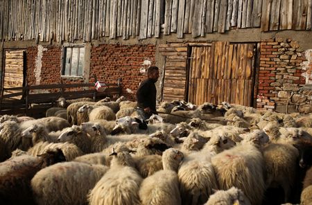 tagreuters.com2023binary_LYNXMPEJ2U08Y-VIEWIMAGE