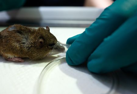 tagreuters.com2023binary_LYNXMPEJ74078-VIEWIMAGE