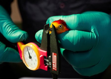 tagreuters.com2023binary_LYNXMPEJ7407A-VIEWIMAGE