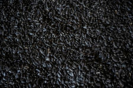 tagreuters.com2023binary_LYNXMPEJ7E0M4-VIEWIMAGE