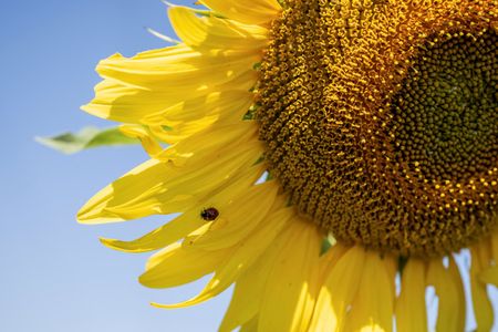 tagreuters.com2023binary_LYNXMPEJ7E0M6-VIEWIMAGE