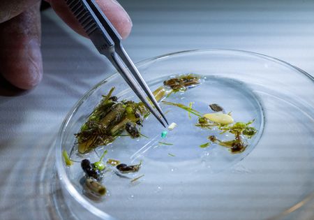 tagreuters.com2023binary_LYNXMPEJ7O08M-VIEWIMAGE