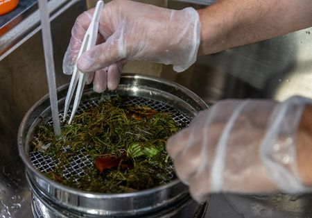 tagreuters.com2023binary_LYNXMPEJ7O08N-VIEWIMAGE