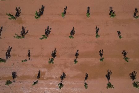 tagreuters.com2023binary_LYNXMPEJ8909N-VIEWIMAGE