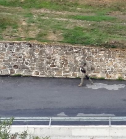 tagreuters.com2023binary_LYNXMPEJ8N05I-VIEWIMAGE