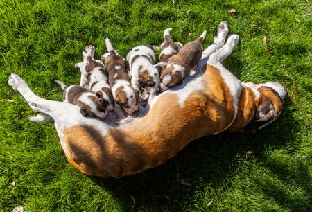 tagreuters.com2023binary_LYNXMPEJ8P084-VIEWIMAGE