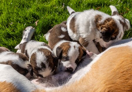 tagreuters.com2023binary_LYNXMPEJ8P085-VIEWIMAGE