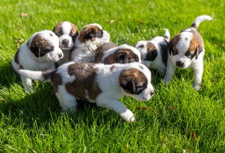 tagreuters.com2023binary_LYNXMPEJ8P088-VIEWIMAGE