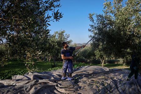 tagreuters.com2023binary_LYNXMPEJAK06C-VIEWIMAGE