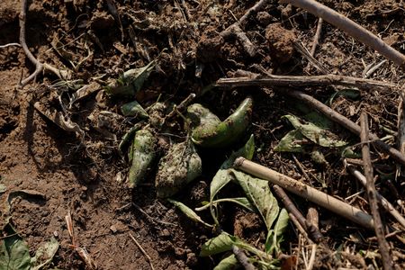 tagreuters.com2023binary_LYNXMPEJAK06F-VIEWIMAGE