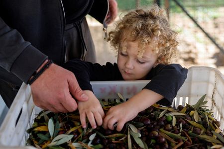 tagreuters.com2023binary_LYNXMPEJAK06R-VIEWIMAGE