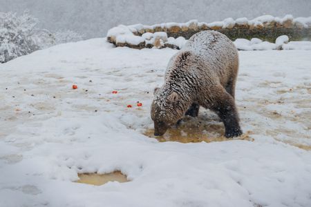 tagreuters.com2023binary_LYNXMPEJAO07Q-VIEWIMAGE