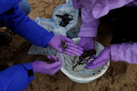 tagreuters.com2024binary_LYNXMPEK070I0-VIEWIMAGE