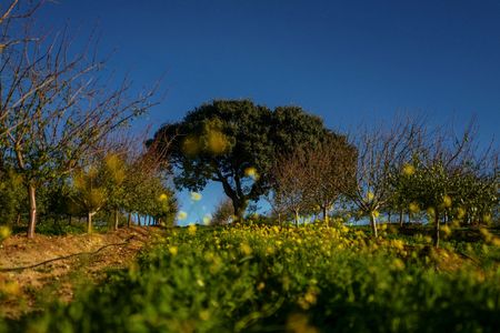 tagreuters.com2024binary_LYNXMPEK08079-VIEWIMAGE