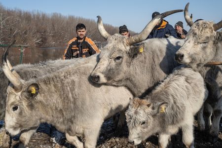 tagreuters.com2024binary_LYNXMPEK090P7-VIEWIMAGE