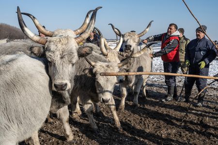 tagreuters.com2024binary_LYNXMPEK090P9-VIEWIMAGE