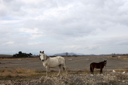 tagreuters.com2024binary_LYNXMPEK160SK-VIEWIMAGE