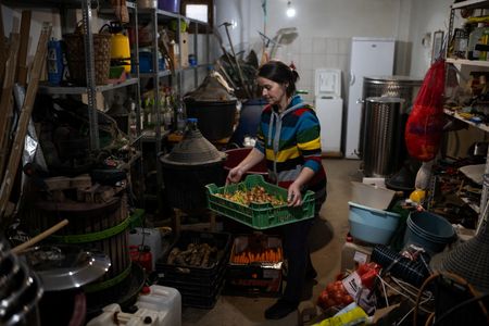 tagreuters.com2024binary_LYNXMPEK4108R-VIEWIMAGE