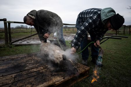 tagreuters.com2024binary_LYNXMPEK410A0-VIEWIMAGE