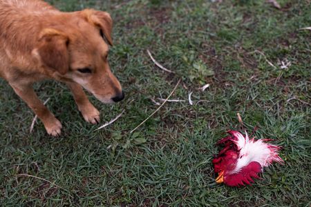 tagreuters.com2024binary_LYNXMPEK410AO-VIEWIMAGE