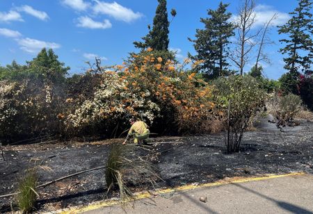 tagreuters.com2024binary_LYNXMPEK750EI-VIEWIMAGE