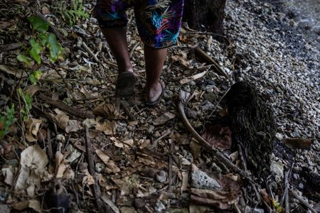 tagreuters.com2024binary_LYNXMPEK7H02K-VIEWIMAGE