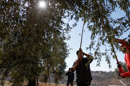 tagreuters.com2024binary_LYNXMPEK9K0HU-VIEWIMAGE