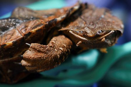 tagreuters.com2024binary_LYNXMPEK9Q01O-VIEWIMAGE