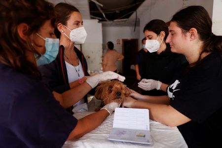 tagreuters.com2024binary_LYNXMPEKA60CC-VIEWIMAGE