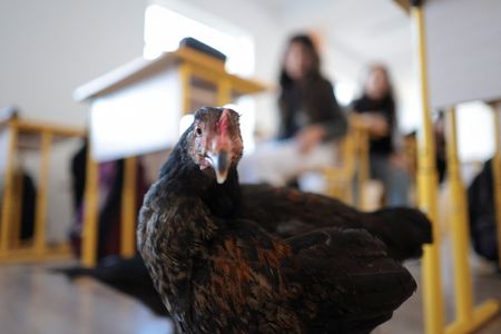 tagreuters.com2024binary_LYNXMPEKA8048-VIEWIMAGE