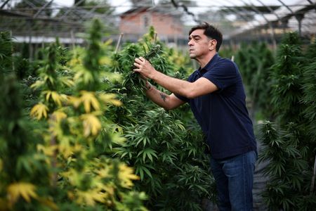 tagreuters.com2024binary_LYNXMPEKAB070-VIEWIMAGE