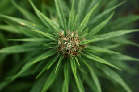 tagreuters.com2024binary_LYNXMPEKAB071-VIEWIMAGE