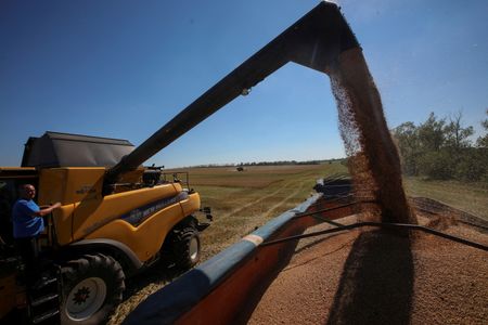 tagreuters.com2024binary_LYNXMPEKBD09Y-VIEWIMAGE