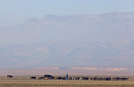 tagreuters.com2024binary_LYNXMPEKBG04I-VIEWIMAGE