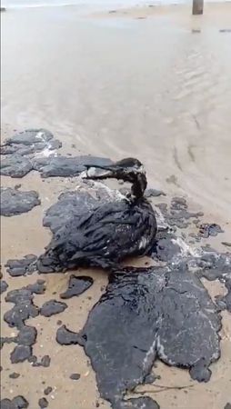 tagreuters.com2024binary_LYNXMPEKBH09E-VIEWIMAGE