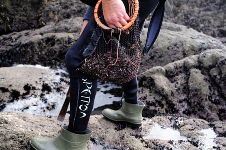 tagreuters.com2024binary_LYNXMPEKBN04P-VIEWIMAGE