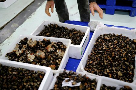 tagreuters.com2024binary_LYNXMPEKBN04Q-VIEWIMAGE