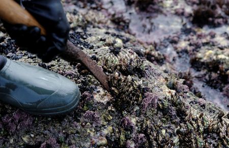 tagreuters.com2024binary_LYNXMPEKBN04R-VIEWIMAGE