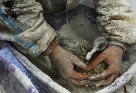 tagreuters.com2024binary_LYNXMPEKBP0AF-VIEWIMAGE