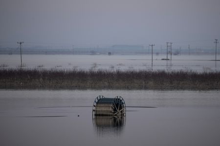 tagreuters.com2024binary_LYNXNPEK1N03A-VIEWIMAGE
