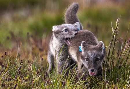 tagreuters.com2024binary_LYNXNPEK1S08H-VIEWIMAGE