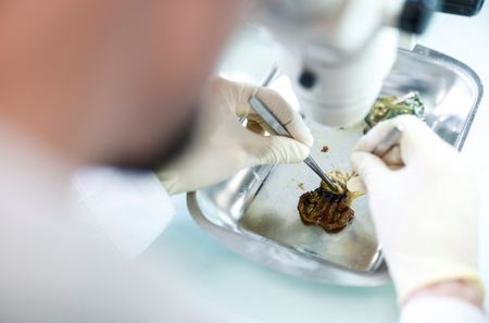 tagreuters.com2024binary_LYNXNPEK260SS-VIEWIMAGE