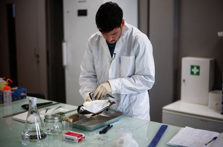 tagreuters.com2024binary_LYNXNPEK260ST-VIEWIMAGE